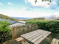 Ystwyth 26 Hotels in Borth