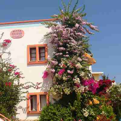 Villa Elizea Hotel Exterior
