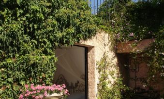 L'Amandari - Chambres d'hôtes