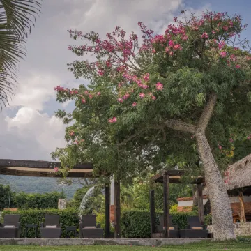 Nimue Marina Residence & Hotel Boutique