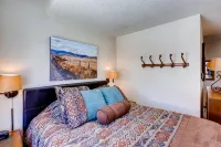 レナウィー 1747