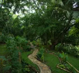 Hotel Tocarema Hotels in 