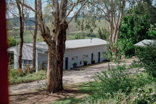 Buchan Motel Hotels in Buchan