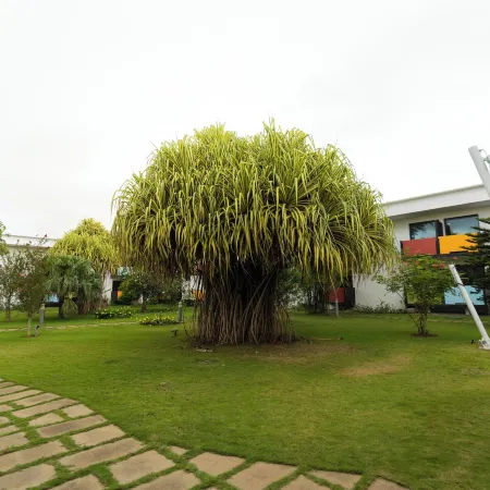 ONOMO Hotel Abidjan