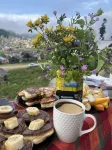 Bakhmaro Hotels in Bakhmaro
