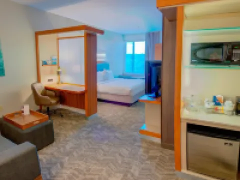 SpringHill Suites Macon Hotels in Bibb County