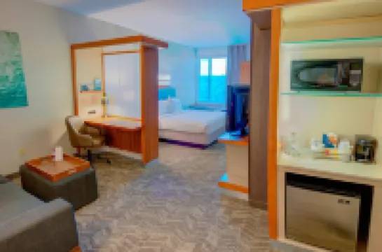 SpringHill Suites Macon Hoteles en Condado de Bibb