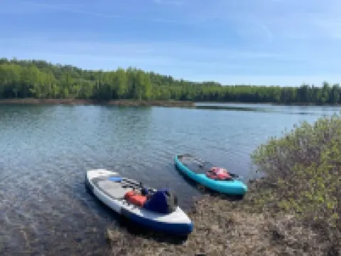 Talkeetna Tiny House Cabin Dragonfly Fire-pit/ski/bike/multi-use trails