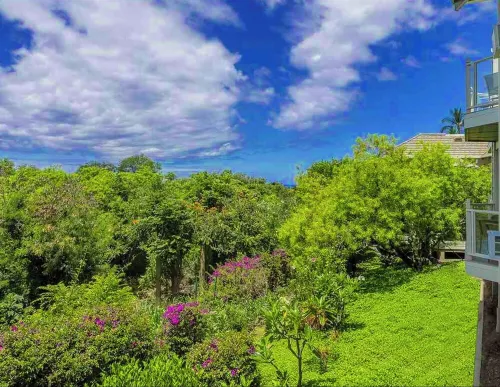 ~ This Is Wailea Living ~