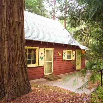1940s Storybook Knotty Pine Cabin in Crestline, Absolute Privacy