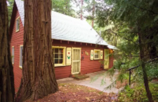 1940s Storybook Knotty Pine Cabin in Crestline, Absolute Privacy