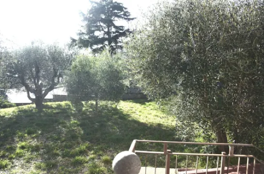 Apartment with parking 5 minutes from the Terme dei Papi in Viterbo