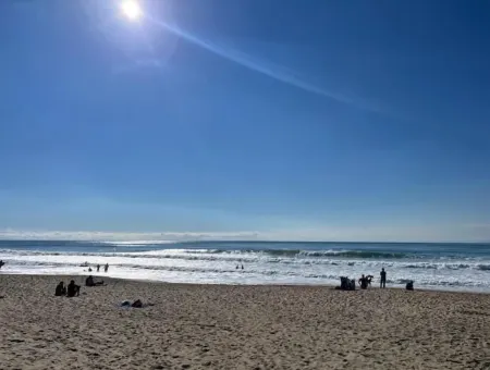 Ile Doléron Vertbois Villa Bois Piscine & mer