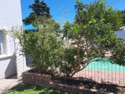 Neat 3 Bedroom House in Tranquil Setting in Rondebosch Hotels near Commonground Cafe