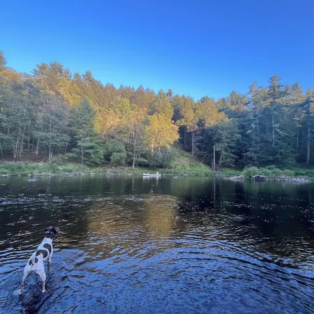 The Lehigh Cottage - Pocono Mountains get-away with gorgeous private waterfall!