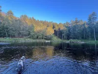 The Lehigh Cottage - Pocono Mountains get-away with gorgeous private waterfall!
