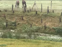 Le Petit Soudet Hotels in Pernois