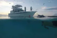 Floating Hotel in Paradise !!!! Staniel Cay, Exuma,Bahamas!!! Hotel di Staniel Cay