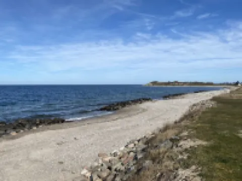 "Felis" - 75m from the Sea