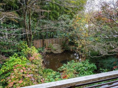 庭 鶴巻温泉 元湯陣屋の写真