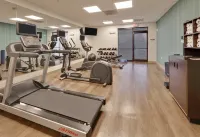 Holiday Inn Express & Suites IRVING CONV CTR - LAS COLINAS by IHG - Gym