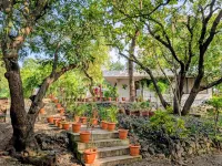 Forest Village Holiday Homes Отели в г. 