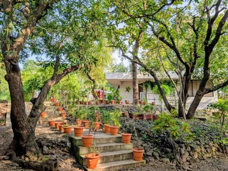 Forest Village Holiday Homes