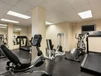 Premier Waterfront Room, Tiki Bar & Grill, Live Music, Pool, Gym, Kitchenette Hotels in Whitfield