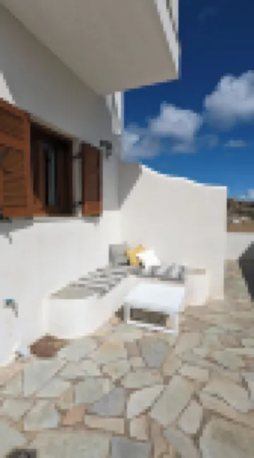 Under The Palm Tree Boutique Studios - Homestays