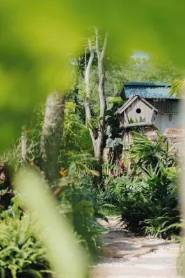 LeeHa Cottage Soc Sơn