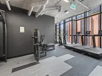 Modern, Executive 1 Bedroom Apartment With Balcony - Apartments
