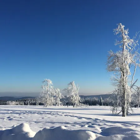 Winterberg Appartement 21032