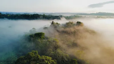 Toucan Lodge Amazon Rainforest Retreat Hotels in 