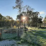 Beautiful Group Accommodation Near our own Food Forest - 2-Star