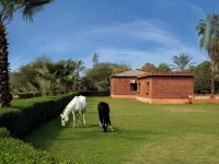 Royal Safari Lakeside Resort- Little Rann of Kutch Hotels in Surendranagar