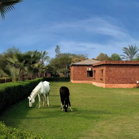 Royal Safari Lakeside Resort- Little Rann of Kutch