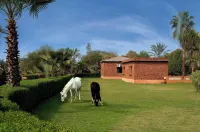 Royal Safari Lakeside Resort- Little Rann of Kutch Hotels in Surendranagar