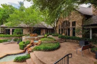 Furnished Apartments Next to the Domain