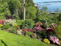 Vancouver Island Ocean Front Suite - Hike, Bike, Visit Wineries or Just Relax! Hotels in Crofton