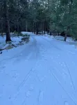 IdyllAway Vintage Cabin - Kid Friendly Sledding Cul-de-Sac!