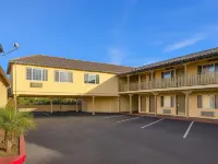 El Castell Motel Hotels near Coast Guard Pier