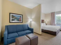 Comfort Suites Lake Geneva East Hotels in Walworth County