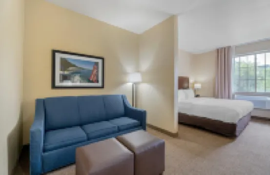 Comfort Suites Lake Geneva East Hotels in Walworth County