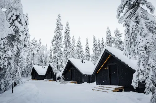 Vaattunki Wilderness Resort - Alloggi
