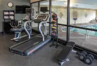 Hampton Inn & Suites Youngstown-Canfield - Træningscentre