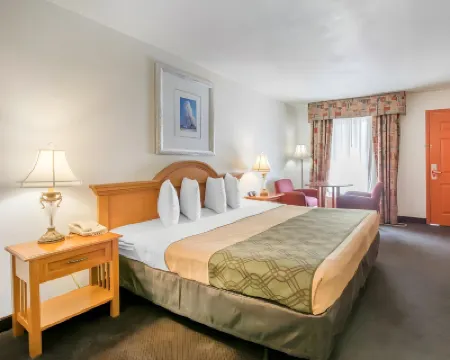 Econo Lodge Airport - RJ Stadium Hotels near Steinbrenner Field