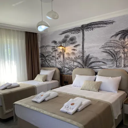 Olive House Hotel