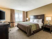 كومفرت إن ديترويت داون تاون Hotels near منتزه بيلي أيسل