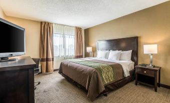 Comfort Inn Downtown
