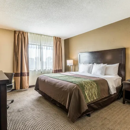 Comfort Inn Downtown